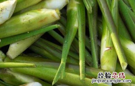 茭白贮藏保鲜方法 茭白的储存和保鲜