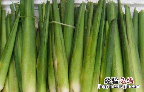 茭白贮藏保鲜方法 茭白的储存和保鲜