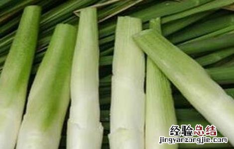 茭白贮藏保鲜方法 茭白的储存和保鲜