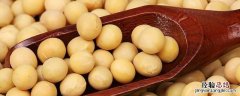 小黄豆是转基因吗? 小黄豆是转基因吗