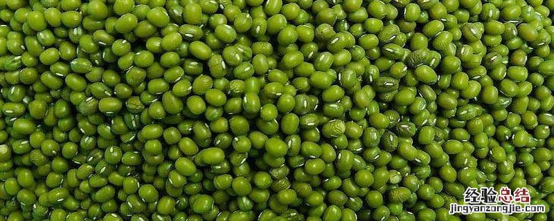 绿豆放了一年还能吃吗 绿豆放了一年多还能吃吗