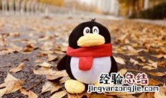 gentoo penguin怎么读 penguin怎么读