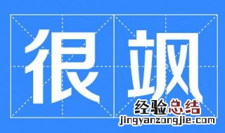 安家里面的飒什么意思 安家里面飒是什么意思
