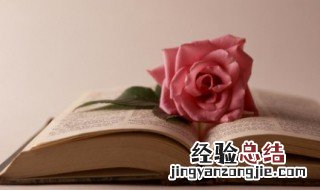 春暖花开的唯美句子短句摘抄 春暖花开的唯美句子