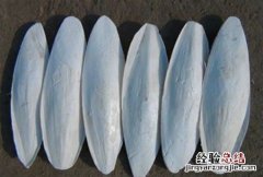 墨鱼骨 墨鱼骨怎么处理才能喂鸟