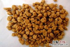 阿魏 阿魏是什么东西