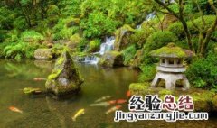 pool怎么读音发音英语怎么读 pool怎么读