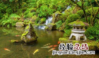 pool怎么读音发音英语怎么读 pool怎么读