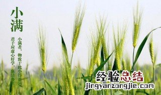 小满的寓意好不好 小满意味什么