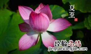 夏至是哪天 2023年夏至是哪天