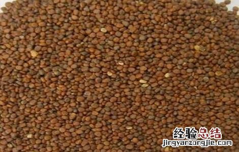 茄子留种留第几个好 茄子如何留种