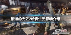 消逝的光芒2跟1是后续吗 消逝的光芒2哈肯不救有什么影响