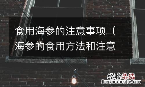 海参的食用方法和注意事项 食用海参的注意事项