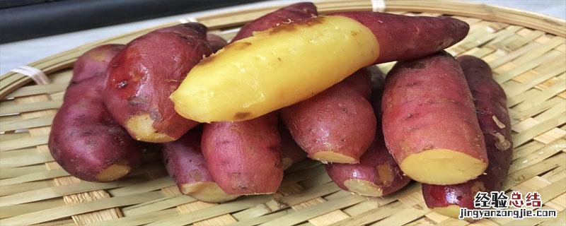 小香芋发芽了还能吃吗 小香薯发芽了还能吃吗