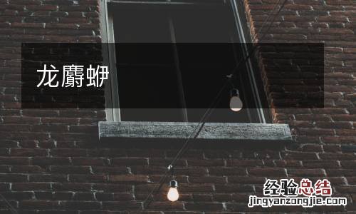 龙麝蛜