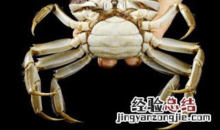 酱烧大闸蟹 孜然大闸蟹的做法