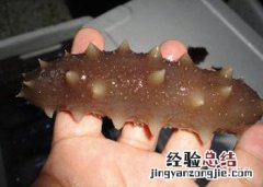 海参的做法 海参的做法有哪几种 家常