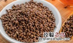 决明糙米粥怎么做 糙米怎么熬粥