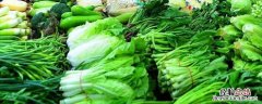 9月时令蔬菜有哪些 9月的时令蔬菜有哪些