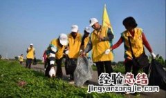 捡垃圾的宣传标语 捡垃圾的宣传标语牌