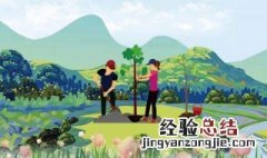 植树节是哪天哪月哪日 植树节是哪天