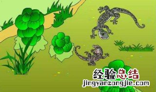 壁虎进家里有什么迷信吗 壁虎进家里有什么迷信