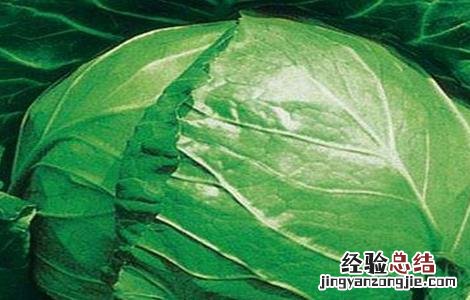 甘蓝裂球原因及防治措施 甘蓝裂球原因及防治措施视频