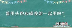兽用头孢和磺胺能一起用吗 兽用磺胺和头孢能一块用吗