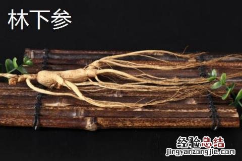 林下参和园参药效区别 园参和林下参药效差多少