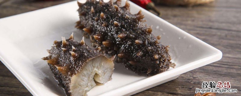南美海参为什么便宜 南美海参为什么那么大