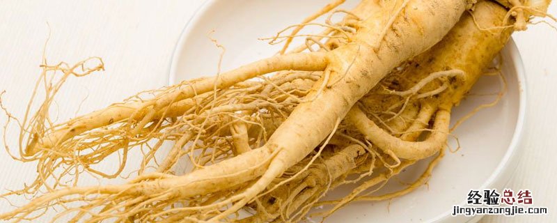 花旗参是西洋参吗 花旗参是西洋参的功效与作用