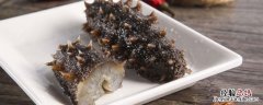 海参可以生吃吗 泡好的海参可以生吃吗
