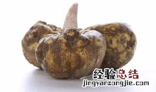 尸香魔芋是什么植物 魔芋是什么植物