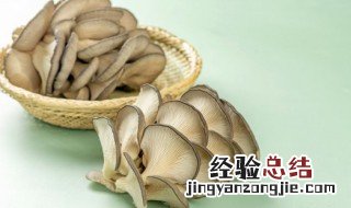 家庭自制平菇炒鸡蛋 平菇炒鸡蛋怎么做好吃窍门