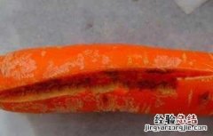 胡萝卜裂根原因及预防方法