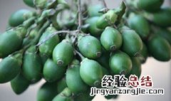 怎么戒槟榔怎样戒槟榔有效最快 戒槟榔的最有效的方法