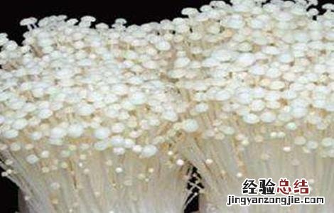 金针菇的栽培技术 金针菇的栽培技术论文