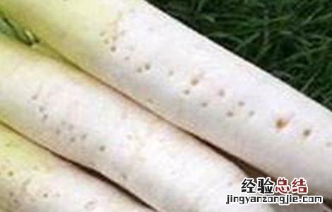 萝卜糠心原因及预防方法 萝卜糠心原因及防治