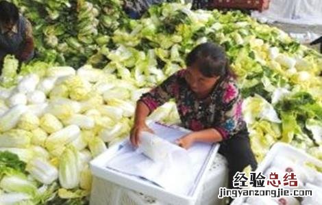 如何提高娃娃菜产量 如何提高娃娃菜产量呢