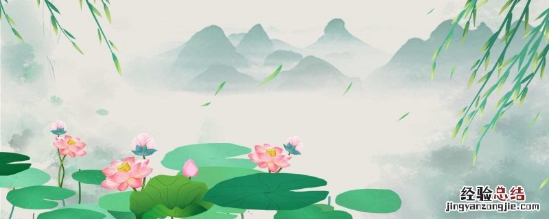 描写夏天荷花盛开的诗句 描写夏天荷花盛开的诗句是