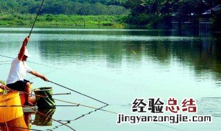 钓鱼怎么钓才能钓到大鱼 钓鱼怎么钓才能钓到