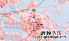 春分下雨还会冷吗 春分一定会下雨吗