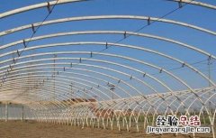 蔬菜大棚常见种植方式有哪些 蔬菜大棚常见种植方式