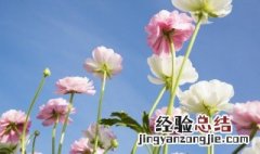 碧海蓝天的意思和造句 碧海蓝天的意思