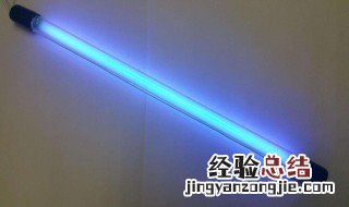 臭氧灯能杀虫吗为什么 臭氧灯能杀虫吗
