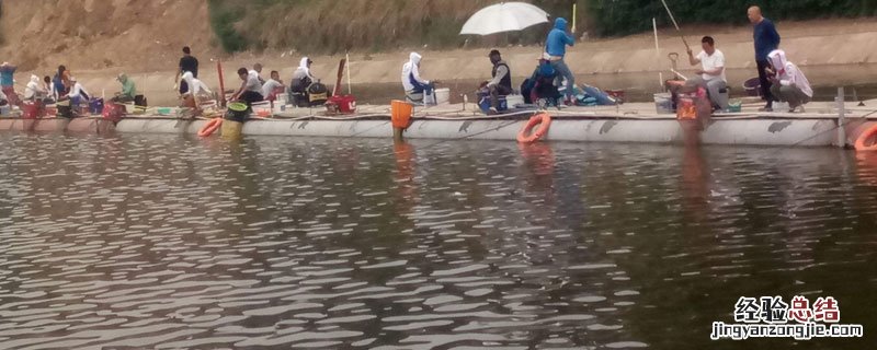 黑坑钓鱼为什么不让用花生 黑坑为什么禁用花生