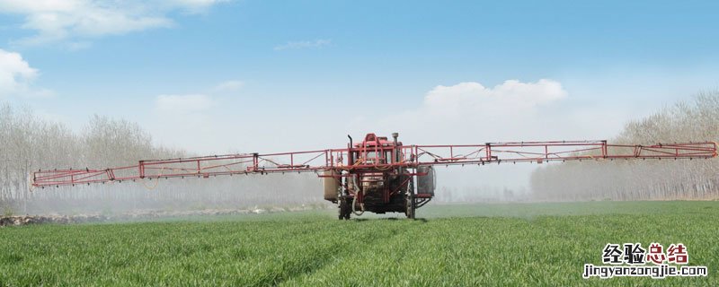 硫酸铵烧苗吗 硝酸铵烧苗吗?