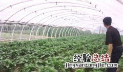 臭氧对水中植物的影响有哪些 臭氧对水中植物的影响