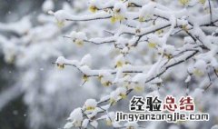 常恐霜霰至的霰是什么意思 霰是什么意思