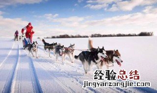 怎样去北极旅游? 怎样去北极旅游最省钱